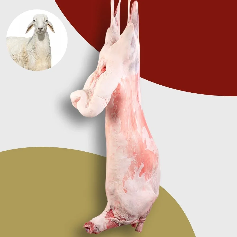 Harri Sheep