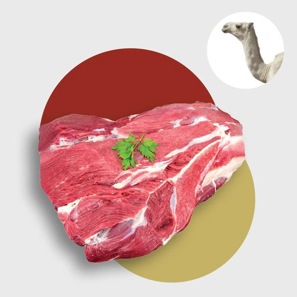 camel without bone